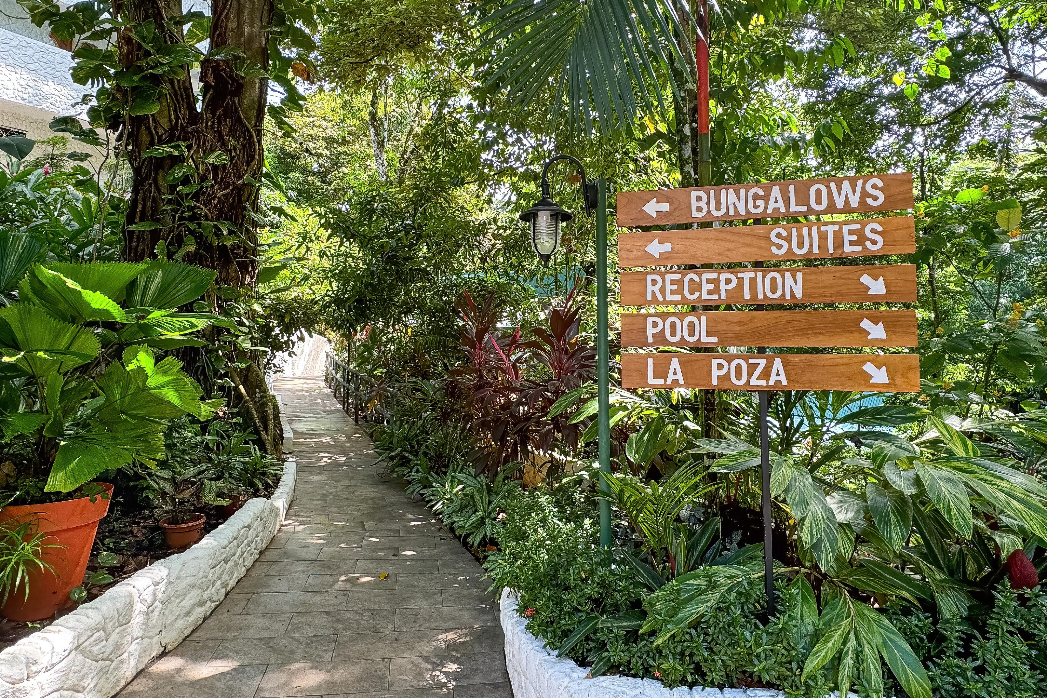 Ecotica Boutique Hotel (Adults Only) Manuel Antonio Buitenkant foto