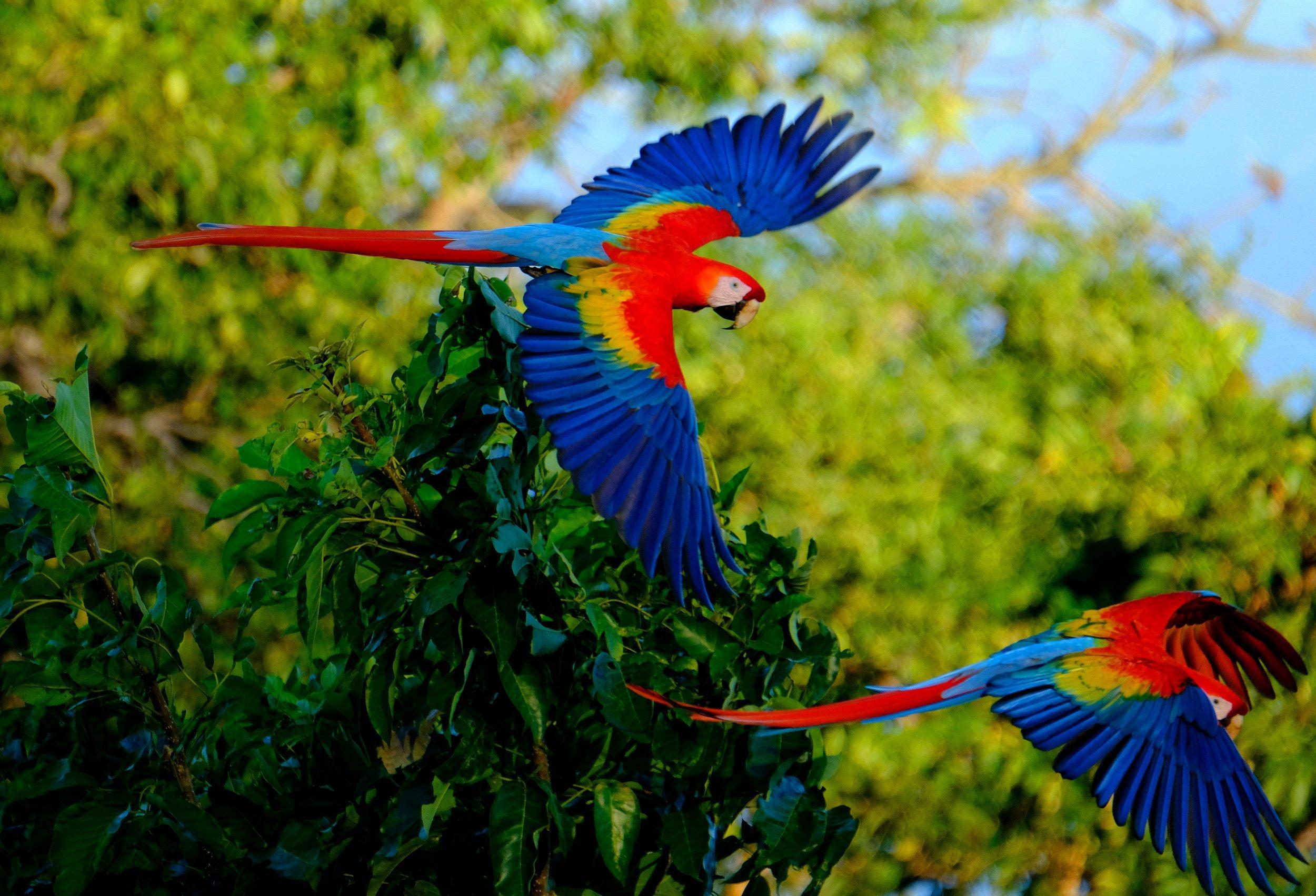 Ecotica Boutique Hotel (Adults Only) Manuel Antonio Buitenkant foto