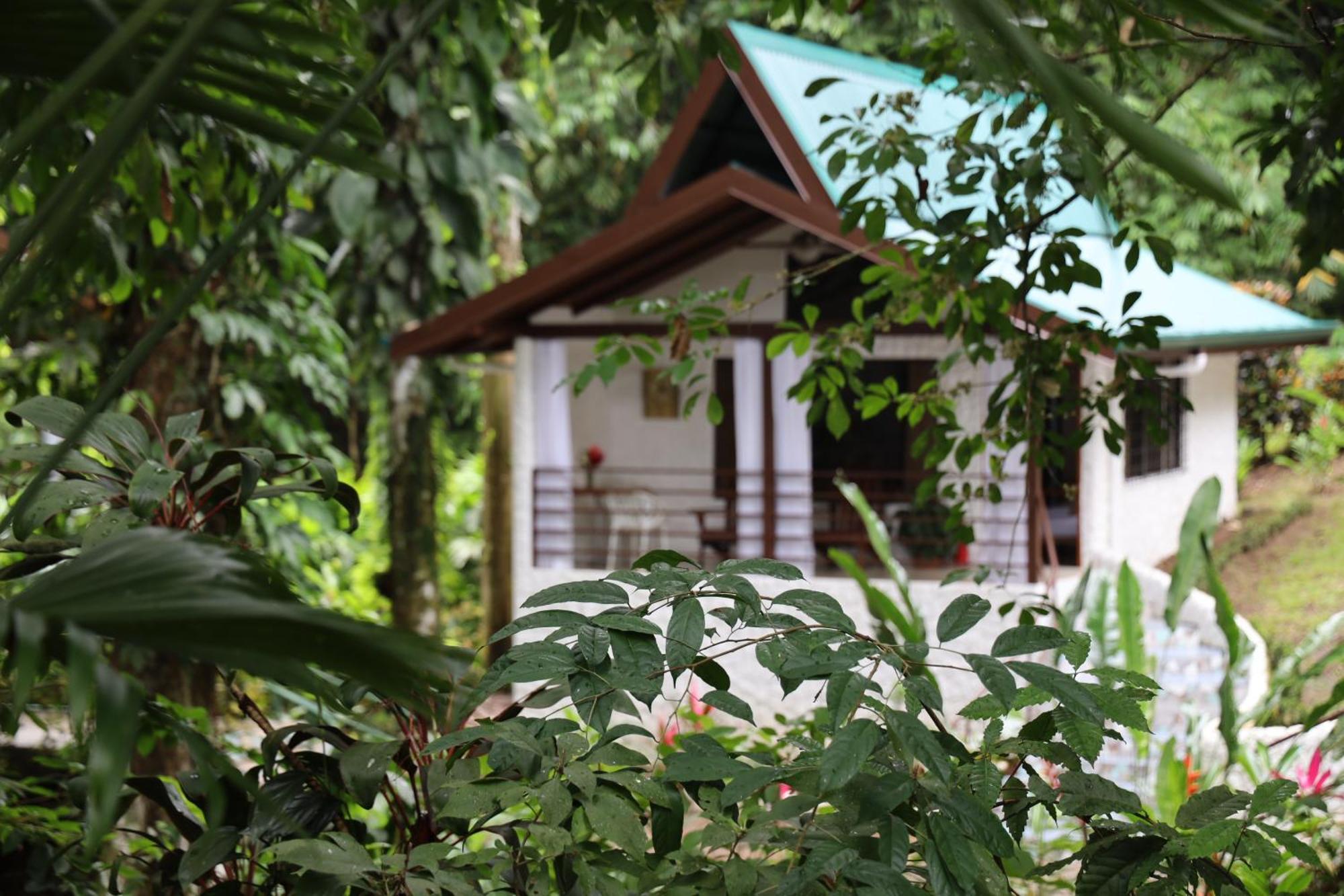 Ecotica Boutique Hotel (Adults Only) Manuel Antonio Buitenkant foto